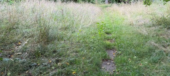  Land in Boblingen, Germany No. 277233 4