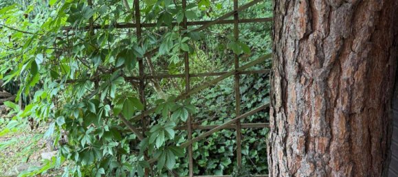  Land in Boblingen, Germany No. 277233 9