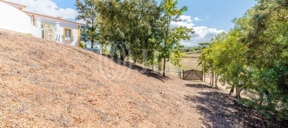 7 bedrooms House in Santiago do Cacem, Portugal No. 132682 38