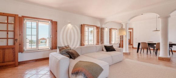 7 bedrooms House in Santiago do Cacem, Portugal No. 132682 3