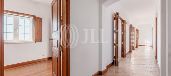 7 bedrooms House in Santiago do Cacem, Portugal No. 132682 20