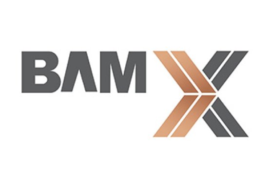 BAMX Development