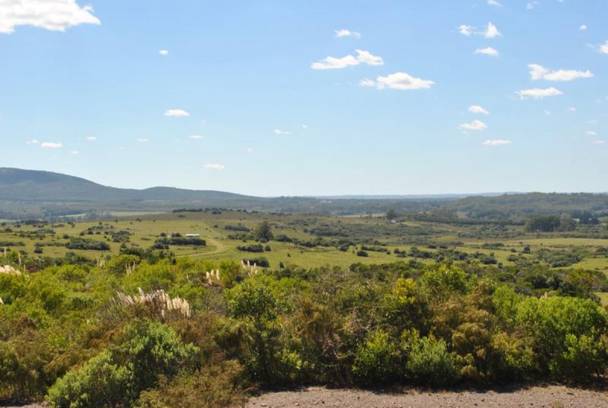  Farm in Maldonado, Uruguay No. 15777