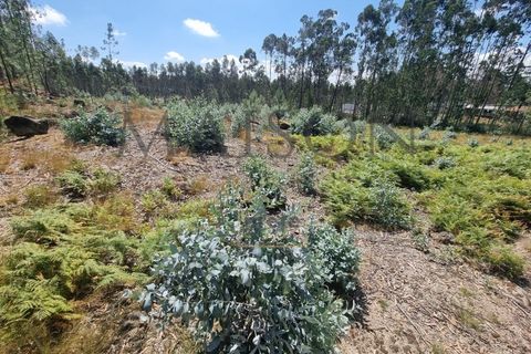  قطعة أرض في Pacos de Ferreira, Portugal رقم 260499