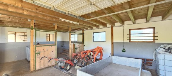 Ферма с 7 спальнями в Вальдсхут, Германия № 39057 12