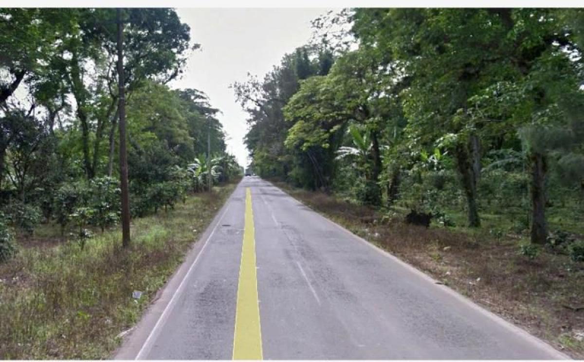 Studio à Veracruz, Mexico No. 223633