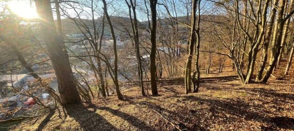  Land in Aschaffenburg, Germany No. 136564 21