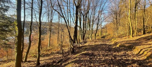  Land in Aschaffenburg, Germany No. 136564 15