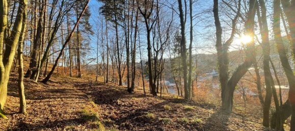  Land in Aschaffenburg, Germany No. 136564 20