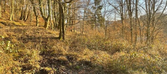  Land in Aschaffenburg, Germany No. 136564 17