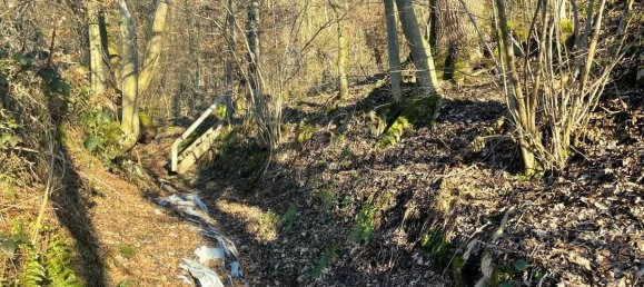  Land in Aschaffenburg, Germany No. 136564 18