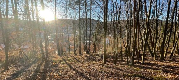  Land in Aschaffenburg, Germany No. 136564 19