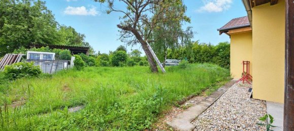 5غرفة منزل في Hollabrunn, Austria رقم 138221 3