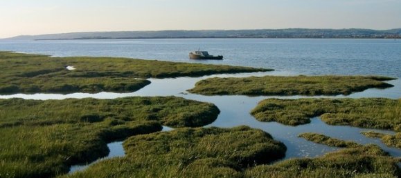 Haus in Swansea, United Kingdom, Nr. 2329 27