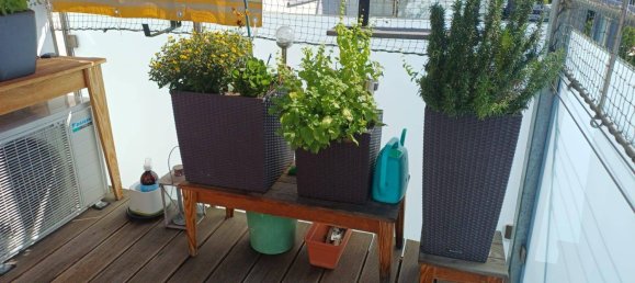 3 chambres Appartement à Waltendorf, Austria No. 235489 12