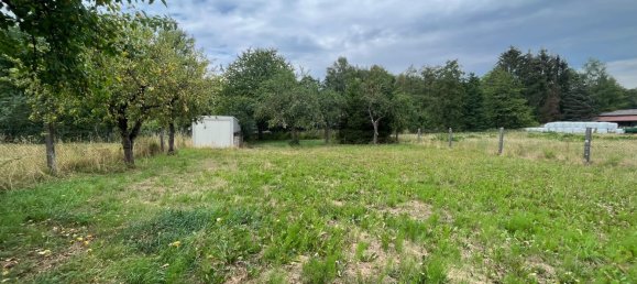 7 rooms House in Vogelsbergkreis, Germany No. 82469 7