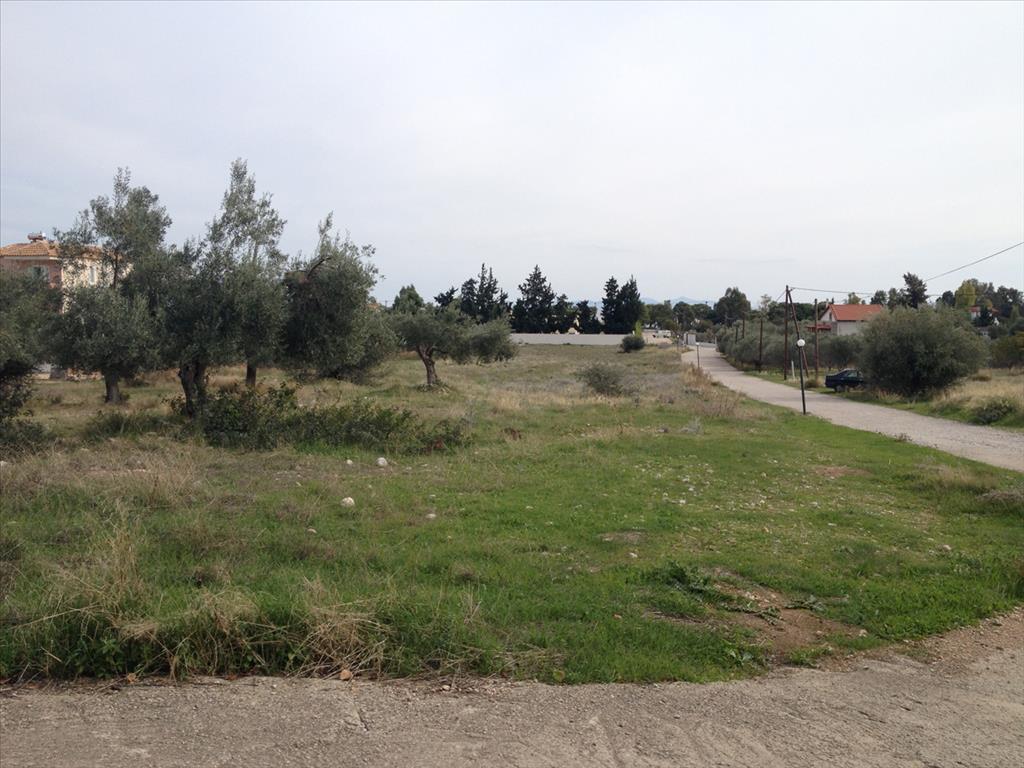 7069m² Hotel in Agioi Theodoroi, Greece No. 7775