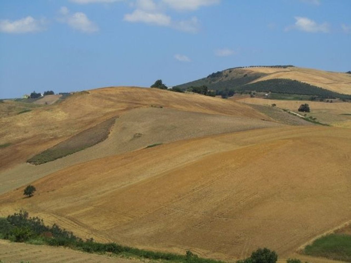 Terrain à Guglionesi, Italy 21700m² No. 152192