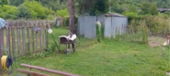 4غرفة شقة في Concerviano, Italy رقم 265749 23