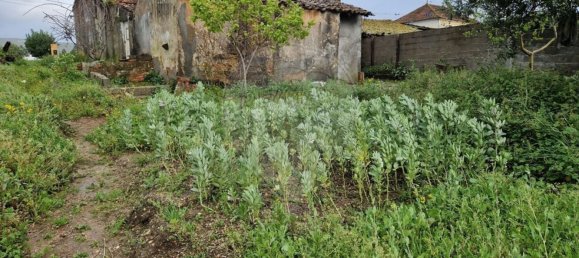 3 Schlafzimmer Haus in Redinha, Portugal, Nr. 175091 11