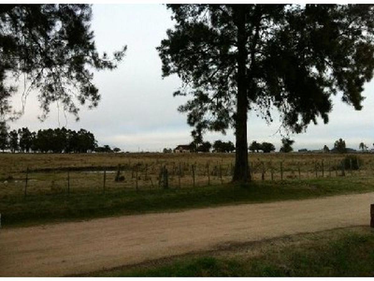 2 bedrooms House in Maldonado, Uruguay No. 9270