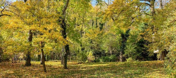 7 rooms Villa in Modling, Austria No. 84552 13