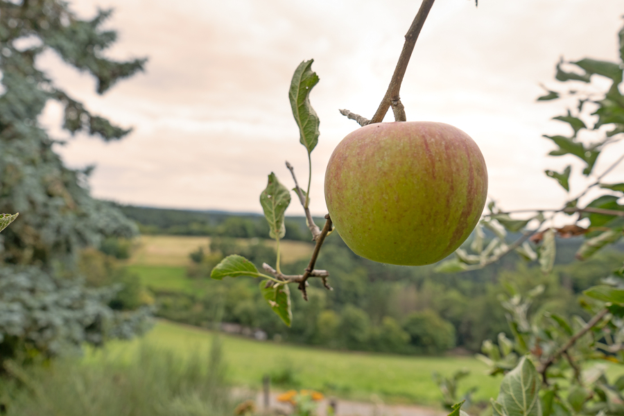 Casa T4 em Mayen-Koblenz, Germany N.º 300319