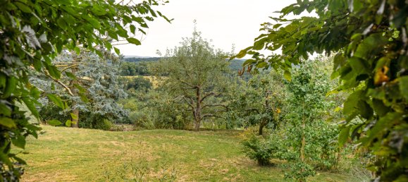 Casa T4 em Mayen-Koblenz, Germany N.º 300319 4