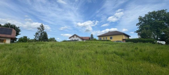 Terreno en Buch-St. Magdalena, Austria No. 218754 6