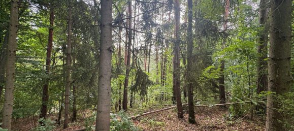 Terreno en Buch-St. Magdalena, Austria No. 218754 9