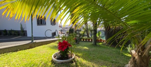 3 Schlafzimmer Haus in Funchal, Portugal, Nr. 107477 35