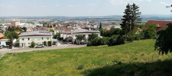  Land in Eisenstadt, Austria No. 66853 2