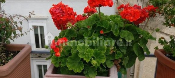 Apartamento de 1 dormitorio en Bari, Italy No. 267353 15