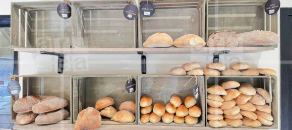 2 rooms Commercial property in Rome, Italy No. 279911 15