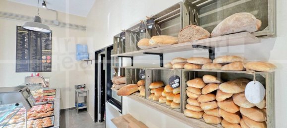 2 rooms Commercial property in Rome, Italy No. 279911 13