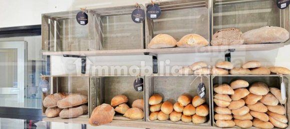 2 rooms Commercial property in Rome, Italy No. 279911 14