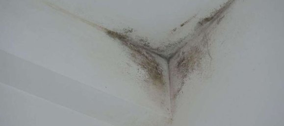 3 rooms Apartment in Rome, Italy No. 198687 60