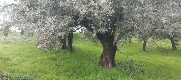 Земельный участок 7250м² в Бовилле Эрника, Италия № 159793 7