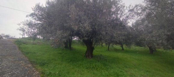 Земельный участок 7250м² в Бовилле Эрника, Италия № 159793 2