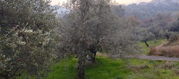 Земельный участок 7250м² в Бовилле Эрника, Италия № 159793 6