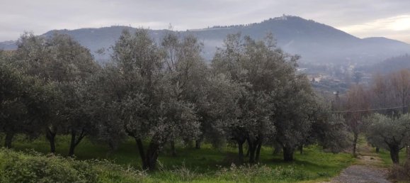 Земельный участок 7250м² в Бовилле Эрника, Италия № 159793 3