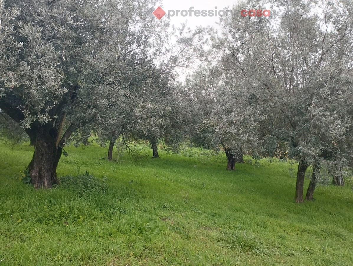 Земельный участок 7250м² в Бовилле Эрника, Италия № 159793