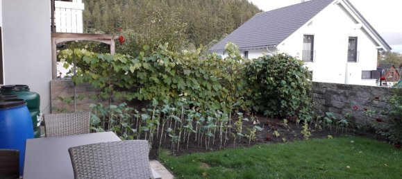 4 bedrooms Townhouse in Breisgau-Hochschwarzwald, Germany No. 348628 4