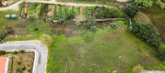 Земельный участок 960м² в Бенавенти, Португалия № 73511 3