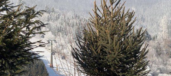 Apartamento T1 em Zell am See, Austria N.º 153277 15