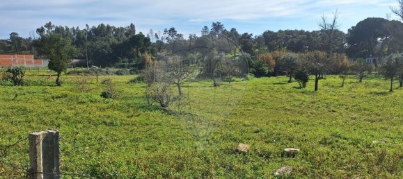 2 bedrooms House in Ponte de Sor, Portugal No. 20231 17