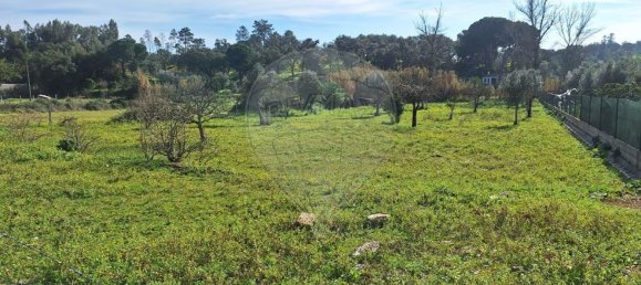 2 bedrooms House in Ponte de Sor, Portugal No. 20231 20