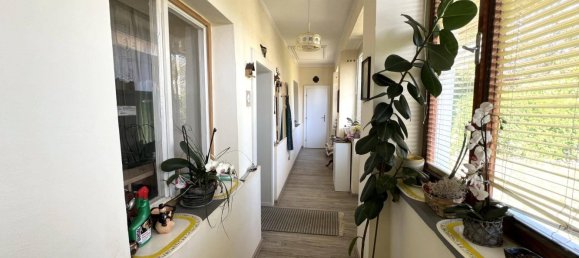 Casa de 3 habitaciónes en Gerersdorf-Sulz, Austria No. 41679 4