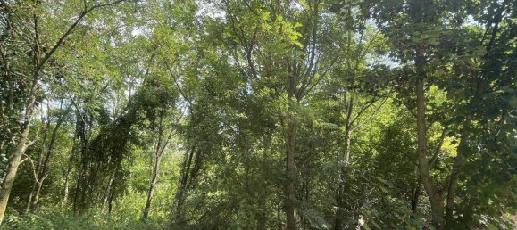  قطعة أرض في Nickelsdorf, Austria رقم 211996 3