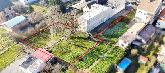 5-salle Maison à Winzendorf-Muthmannsdorf, Austria No. 130950 3